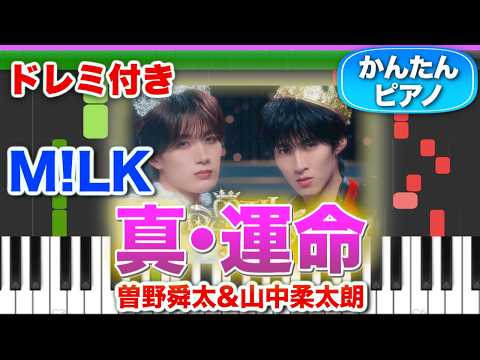 真・運命/M!LK(曽野舜太&山中柔太朗) 【ドレミ楽譜歌詞付き】初心者向けゆっくり簡単ピアノ 弾いてみた Easy Piano Tutorial 初級 ミルク マジ・デスティニー