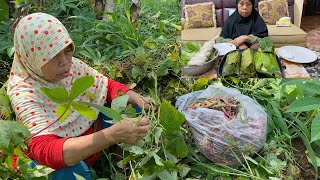 Gagal Nasi Bakar nya Guys Yaudah Yang Ada Aja