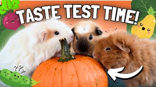 Guinea Pig Diet: Testing 10 Seasonal Vegetables! 🐹🍂