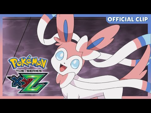 Pokemon TCG News