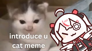 MEOW MEOW MEOW MEOW