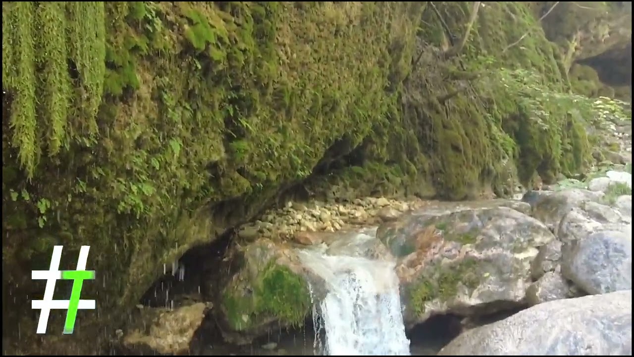 #Terranova