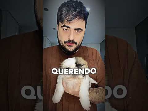 SÓ VAI CURTIR QUEM ADOTARIA ELA 🥺 #familia #cachorro #pets #youtubeshorts #shorts