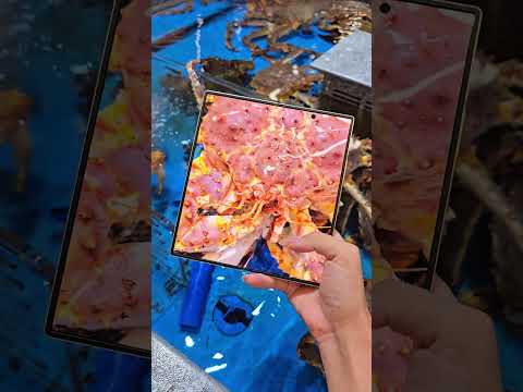 200 million pixel large foldingEven Samsung's foldable phone can reach 200 million pixels