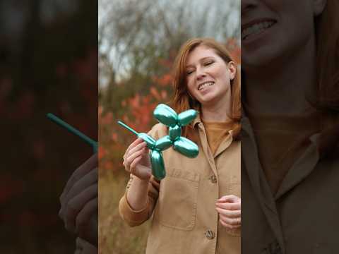 Balloon Dog ??