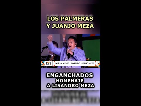 Los Palmeras y JuanJo Meza - Concierto en la ciudad de Rosario Argentina - Homenaje a Lisandro Meza