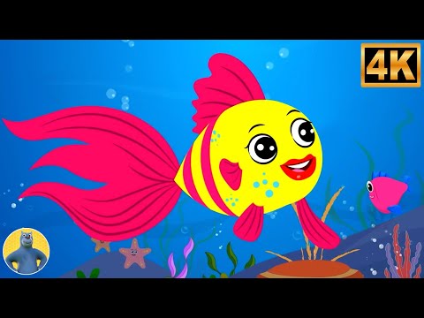 मछली जल की रानी, Machali Jal Ki Rani, Hindi Rhyme For Kids