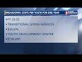 Juvenile Justice System Insights
