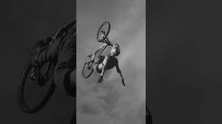 🐴🚲