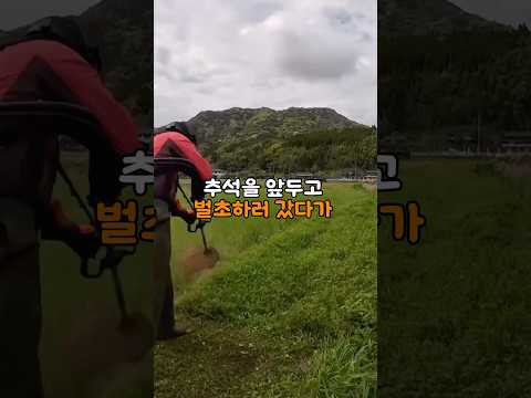 시골 마을 이장님이 300만원을 요구한 충격적인 이유