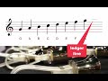 Understanding the Grand Staff and Clefs