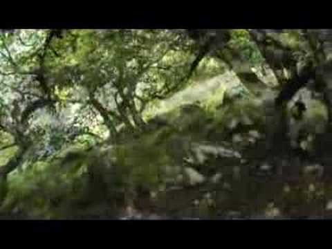 Traceur Gathering '07' (long Cut) ...Edited by Jason Matten