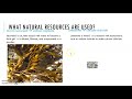 Natural and Synthetic Resources Assessment