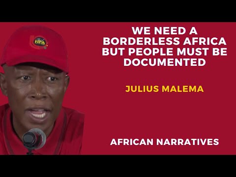 We Need A Borderless Africa But People Must Be Documented | Julius Malema