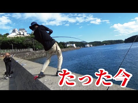 緊急投稿】さっき車で乗り付けた漁港の堤防に仕掛けを落としたら!心拍122を超えるどえらい魚が釣れた