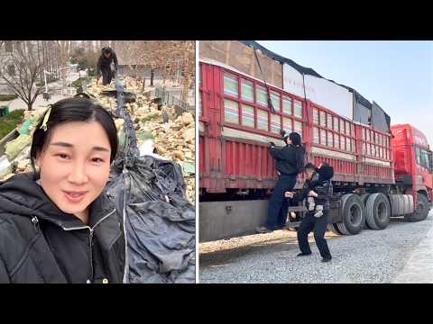 Female Truck Driver Di Sun Transporting Insulation Foam and Construction Waste