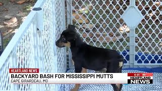 Mississippi Mutts hosts 'Backyard Bash'