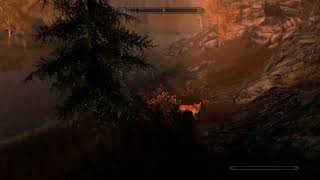 1 minute of Skyrim every day until tes6 releases Day 114: Ivarstead