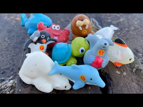 Sea Animal Toys Fun Facts Learning for Preschoolers