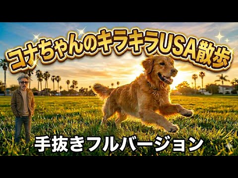 ゴールデンレトリバーコナちゃん初のお散歩フルバージョン　皆日本で元気かな？　