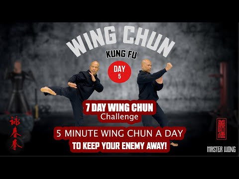 Wing Chun 5 Minute a day  | Wing Chun 7 day Challenge day 5