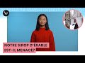Maple Syrup Production and Challenges