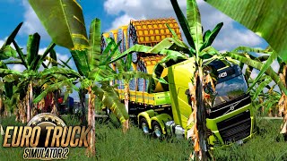 A VIAGEM DOS ACIDENTES, O CAMINHÃO FICOU DESTRUÍDO! - EURO TRUCK SIMULATOR 2 no VOLANTE