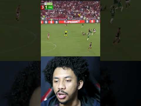 FLA 3 X 2 PAL| O GOL DO GUSTAVO GOMEZ FOI IRREGULAR VEJA