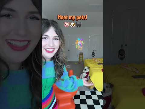 Meet My Pets | My Pet Pigs