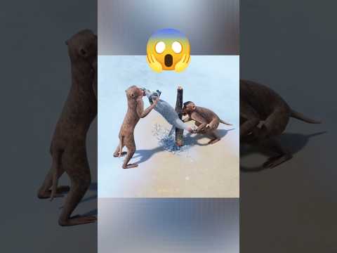 ๐ Top Funny Games : Wolf Game ๐บ #wolfgame #topfunnygames #tieuphongcuoi