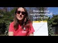 Chesapeake Bay Environmental Awareness