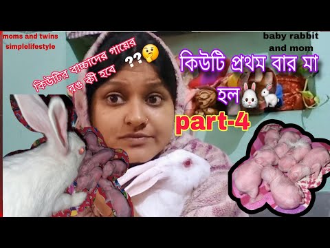 কিউটি প্রথম বার মা হল part-4 🐰🐇new born baby rabbit and mom🐰কিউটির বাচ্চাদের গায়ের রঙ কী কী হবে??🤔