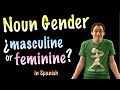 Identifying Masculine and Feminine Nouns in Spanish