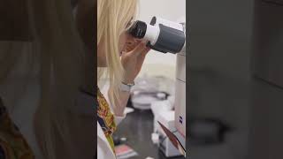 Top 3 Programs | Wake Forest University Online Immersion Program