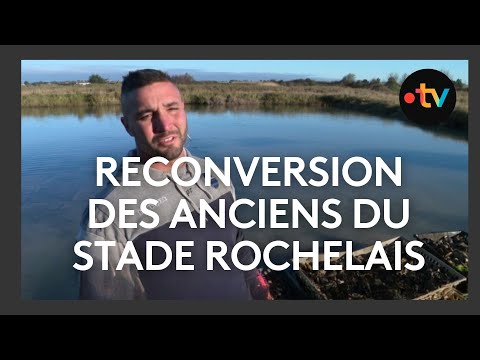 Reconversion des anciens joueurs du Stade Rochelais