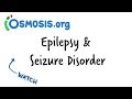 Understanding Seizures and Epilepsy