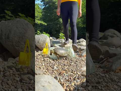 A Great Idea to Carry Water in Extreme Condition#survival #outdoors #bushcraft #camping #lifehacks
