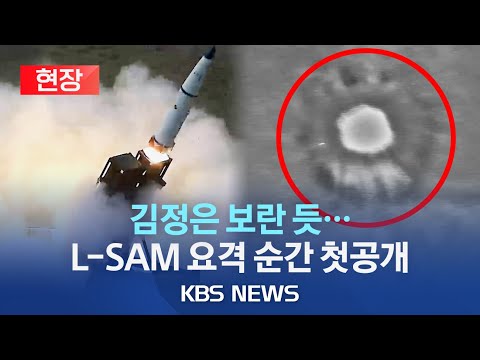 '한국형 사드' L-SAM 요격 순간 첫 공개…北 정찰위성 발사 실패 하루 만/내년 개발 완료…