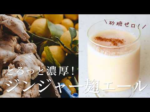【砂糖不使用】飲んで健康!とろっと濃厚ジンジャー麹エールの作り方/我が家の夏の生ごみの臭い対策