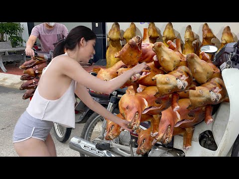 PHÁT HIỆN LÒ M. Ổ CẦY TƠ LỚN NHẤT NHÌ MIỀN BẮC / CHUYÊN CUNG CẤP CHO CÁC NHÀ HÀNG
