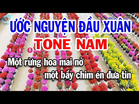 Karaoke Ước Nguyện Đầu Xuân Tone Nam ( Cm ) Nhạc Xuân Mới Nhất || Karaoke Đồng Sen