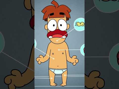 Pourquoi il n'y a pas d'humains géants dans le monde #Shorts