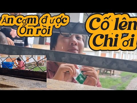 Chi bữa nay lúc biết lúc không đỡ hơn 2 ngày trước cả nhà ơi 