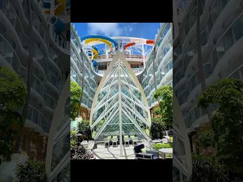 Gold stamp of approval #royalcaribbean #utopiaoftheseas #cruiseship #cruise #cruiselife