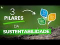 Pilares da Sustentabilidade e Desenvolvimento