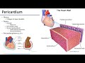 Pericardium and Cardiac Procedures