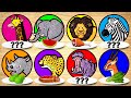 Herbivores and Carnivores in Animals