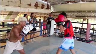 BOY BAGSIK SAPOL SA PRO BOXER