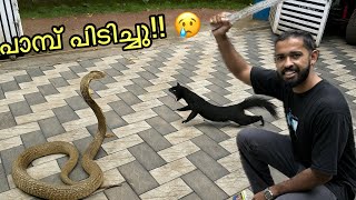 അണ്ണാനെ പാമ്പ് തിന്നു.. പകുതി വിഴുങ്ങി 😢 | Snake Attack In our Aviary 