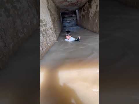 #๐คฒ๐ป๐ณ๐๐๐#fishing #fishpetfun #funnyanimal #